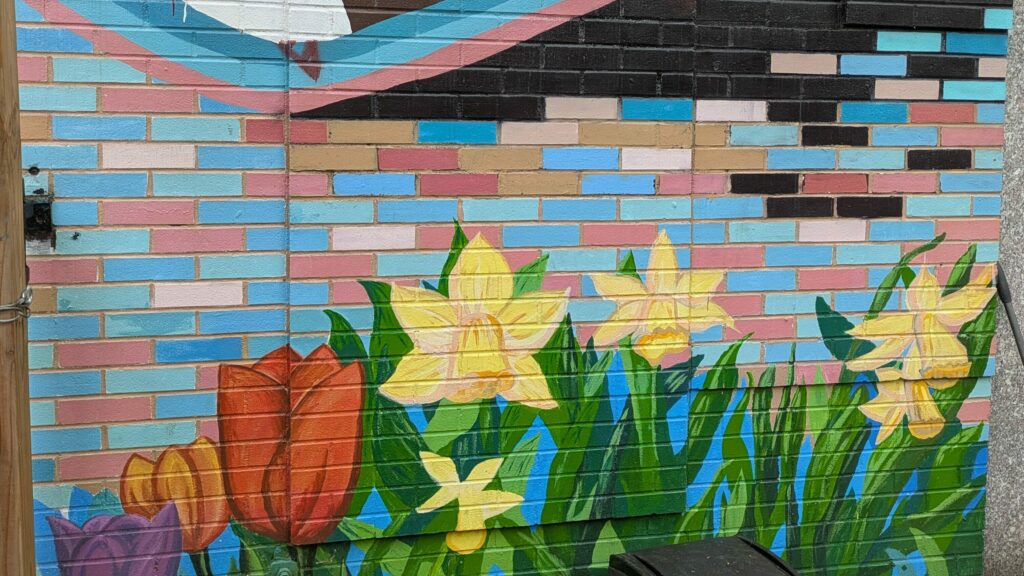 wall mural outdoors in the garden of tulips and daffodils